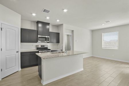 Paseos Del Este by View Homes in Horizon City - image 4