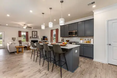 Marlin Pointe by Smith Douglas Homes in White House - image 8