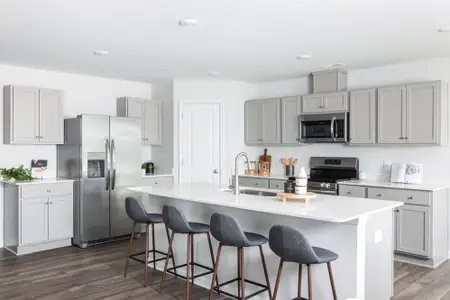 Turnberry South by Dream Finders Homes in Raeford - image