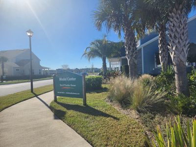 Seven Pines 70' Rear Entry by David Weekley Homes in Jacksonville - photo 8 8