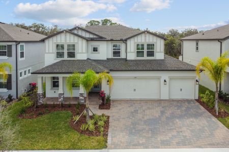 Berry Bay by M/I Homes in Wimauma - photo 38 38