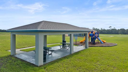 Woodland Ranch Estates: Majors 6