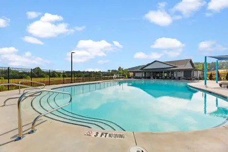 Hemingway - Highland Series by Meritage Homes in Cumming - image 12