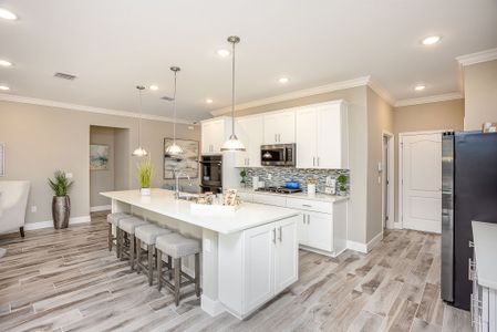 Leesburg And Tavares by Maronda Homes in Leesburg - photo 40 40