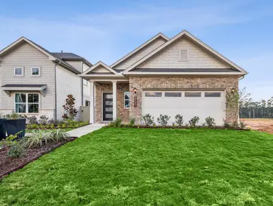 Audubon 40's by Smith Douglas Homes in Magnolia - image