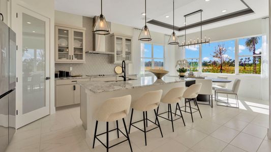 Biscayne Landing at Seaire by DRB Homes in Parrish - photo 24 24