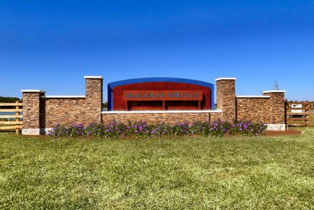 Malabar Springs by Maronda Homes in Palm Bay - image