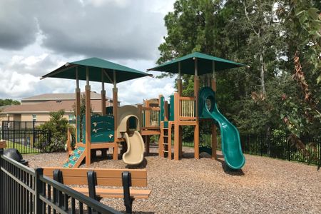 Playground at Preservation Pointe by Landsea Homes