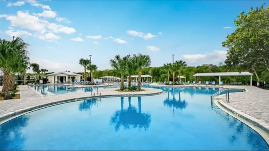 Angeline Active Adult: Active Adult Manors by Lennar in Land O' Lakes - image 3