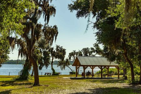 Lake Manatee State Park is the perfect place to spend time reconnecting with nature. With a variety of family-friendly activities, there is something for each and every nature lover.