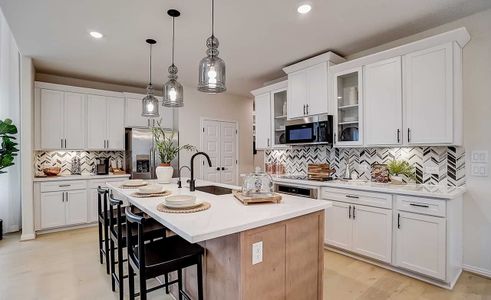 Casinas at Gruene by Brightland Homes in New Braunfels - photo 6 6