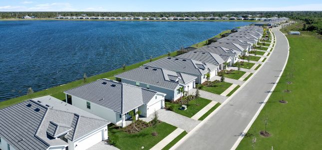 Palm Lake at Coco Bay by Lennar in Englewood - image