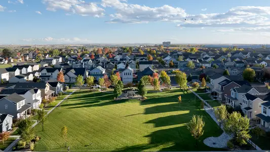 Brighton Crossings by Oakwood Homes Co in Brighton - image
