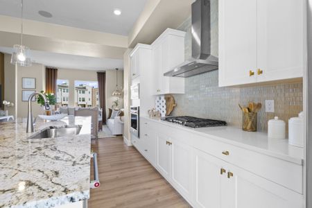 Dillon Pointe by Brightland Homes in Broomfield - photo 57 57