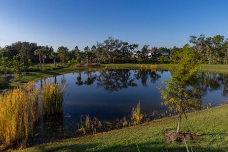 Trinity Gardens by Trinity Family Builders in Deland - image 15