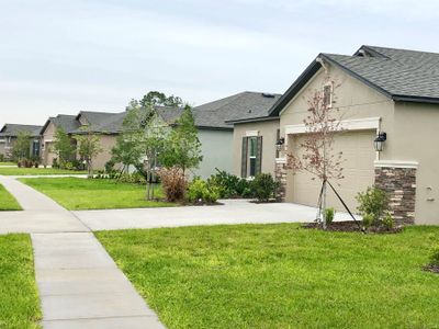 Hilltop Point by M/I Homes in Dade City - photo 17 17