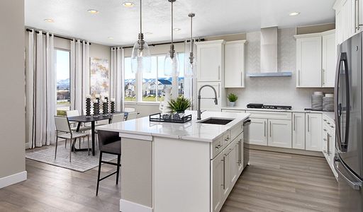 Cityscape at Haskins Station by Richmond American Homes in Arvada - photo 39 39