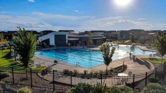 Barefoot by American Legend Homes in Firestone - image 17