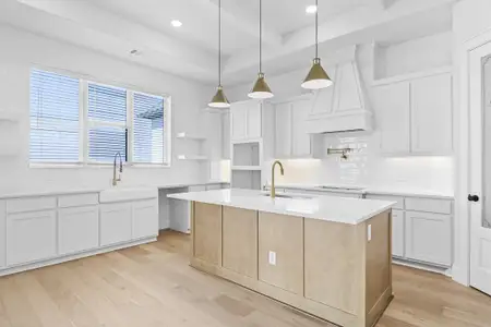 Coppenger Place by Lillian Custom Homes in Godley - image 9