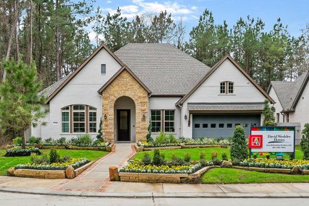 ARTAVIA 65' Homesites by David Weekley Homes in Conroe - photo 14 14