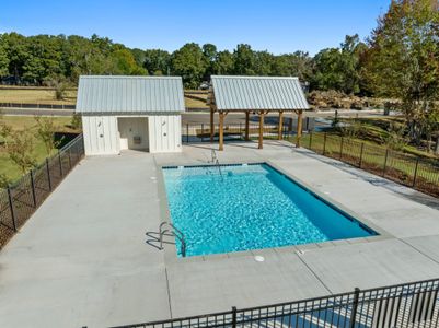 Porches at Mobley Lake by EMC Homes, LLC in Dacula - photo 4 4