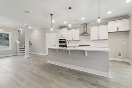 Collins Cove by Great Southern Homes in Chapin - image 8