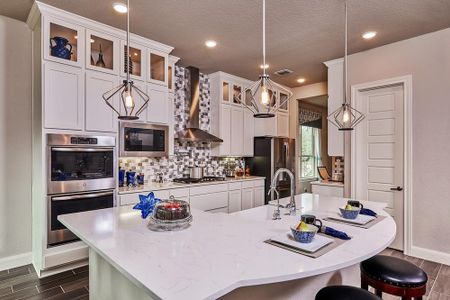 Elkhorn Ridge by Princeton Classic Homes in Fair Oaks Ranch - photo 15 15