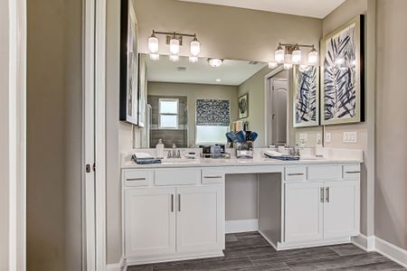 Sandy Creek by SEDA New Homes in Saint Augustine - photo 62 62