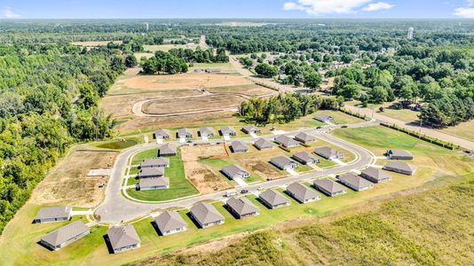 Riggs Pointe by D.R. Horton in Millington - image