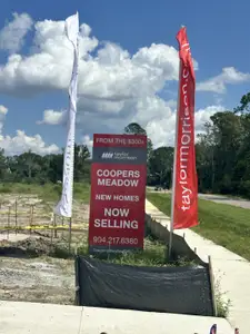 Coopers Meadow by Taylor Morrison in Jacksonville - image