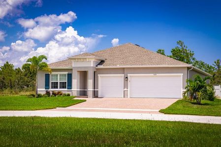 Lost Tree Preserve by Ryan Homes in Vero Beach - photo 9 9