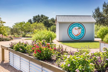 Orchard Ridge by Pacesetter Homes in Liberty Hill - image 13