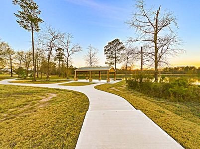 Lakes at Crockett Martin by Century Communities in Conroe - photo 27 27