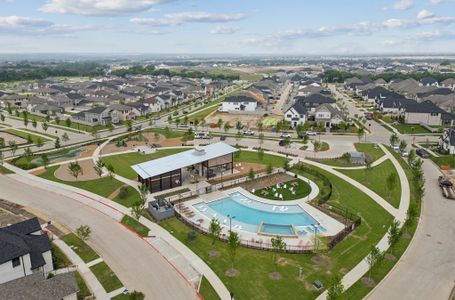 Painted Tree - Woodland West by Normandy Homes in McKinney - image