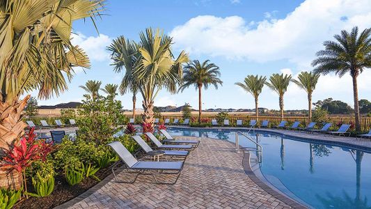 The Townhomes at River Landing by Taylor Morrison in Wesley Chapel - photo 8 8