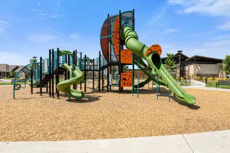 Elevon by UnionMain Homes in Lavon - image 4