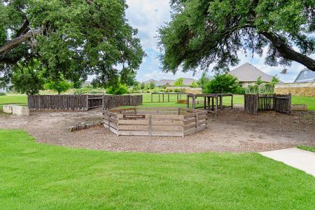 The Crossvine 45’ by David Weekley Homes in Schertz - photo 13 13