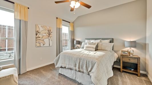 Morningstar by D.R. Horton in Aledo - photo 40 40