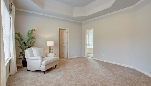 Clark Estates East by Stephen Elliott Homes in Ellenwood - photo 26 26