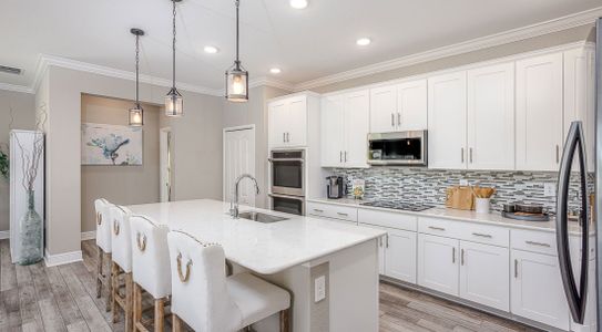 Oakhaven Walk by Maronda Homes in Gainesville - image
