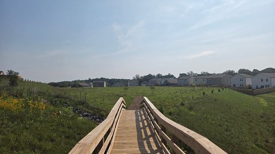 Summit View: Summit View Single Family 18