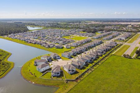 Whispering Oaks Preserve by M/I Homes in Wesley Chapel - photo 0 0