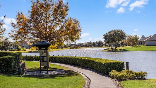 Lakes of Mount Dora by D.R. Horton in Mount Dora - photo 9 9