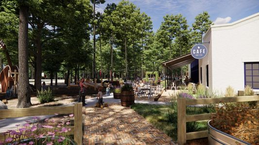 Two Step Farm Signature by Drees Custom Homes in Montgomery - image 12