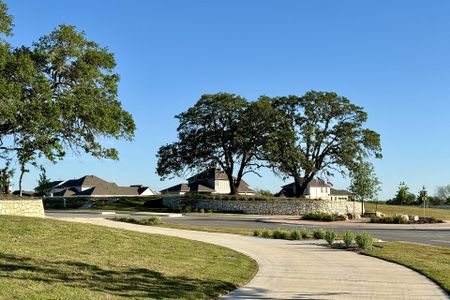 Sage Hollow by Milestone Community Builders in Kyle - photo 8 8