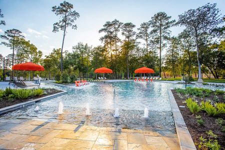 Grand Central Park 55' Homesites by David Weekley Homes in Conroe - photo 6 6