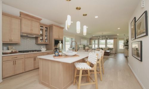 Ellis Cove by Brightland Homes in Seabrook - photo 14 14