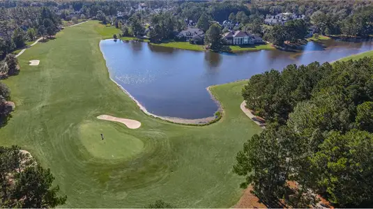 Savannah Quarters: Arbor Collection 50s 17