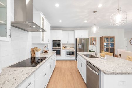 Ramsey Landing by Smith Family Homes in Rincon - image 12