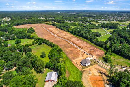 McCoy Farm by John Wieland in Wesley Chapel - image 10